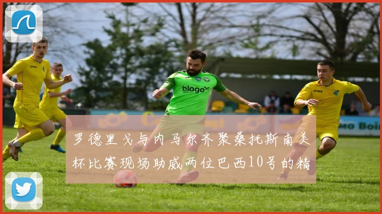罗德里戈与内马尔齐聚桑托斯南美杯比赛现场助威两位巴西10号的精彩时刻