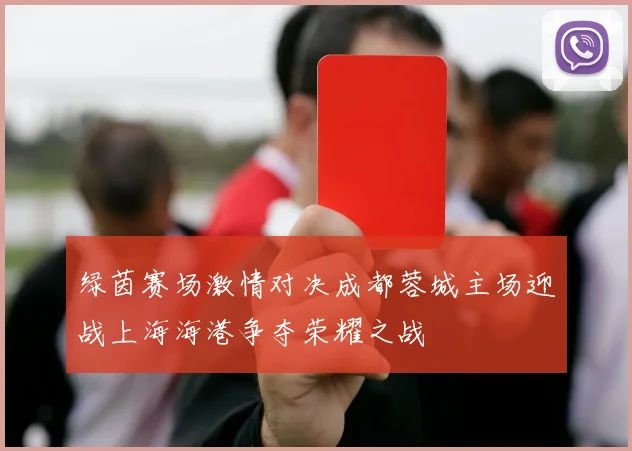 绿茵赛场激情对决成都蓉城主场迎战上海海港争夺荣耀之战